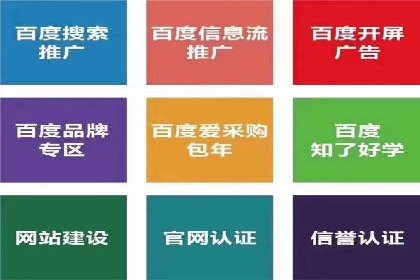 成功案例：SEM托管代运营助力业务增长